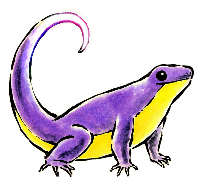 A purple-and-yellow newt with a curling tail